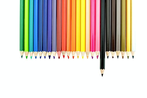 Les papillons ont-ils une perception des couleurs similaire à celle des humains?